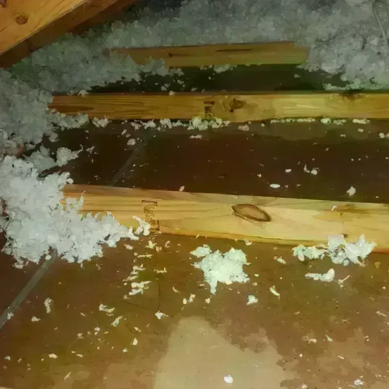 Attic Water Damage in Newberg, OR